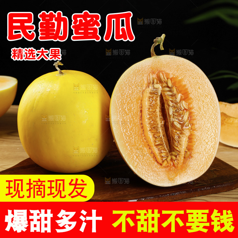 木底上的黄河蜜瓜