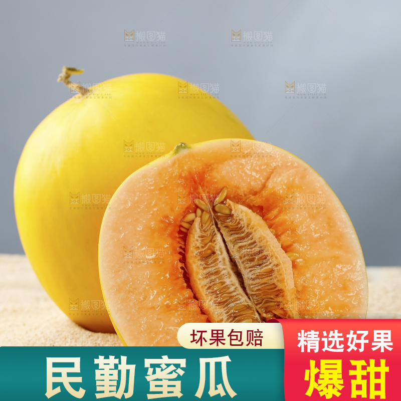 浅底上的民勤蜜瓜