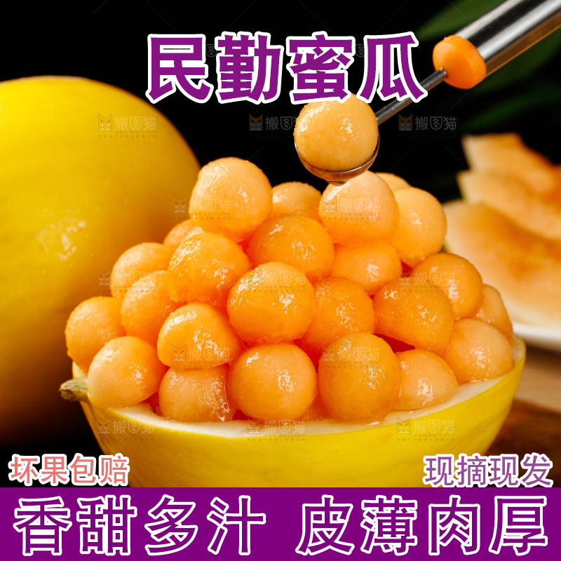 木底上的民勤蜜瓜