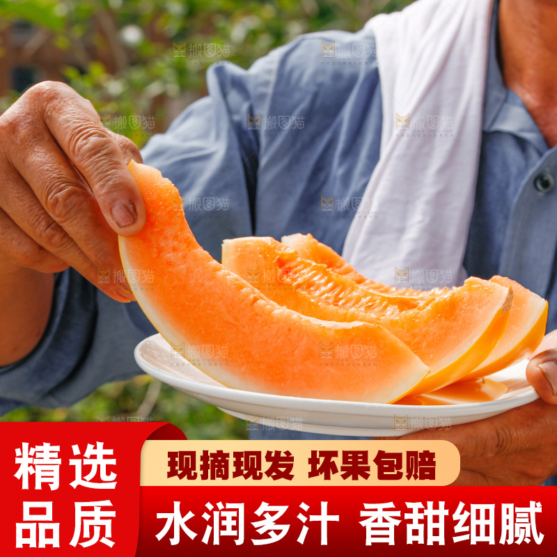 手里拿着民勤蜜瓜