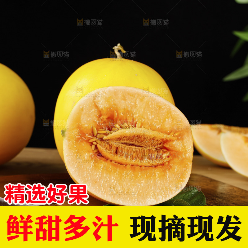 木底上的黄河蜜瓜