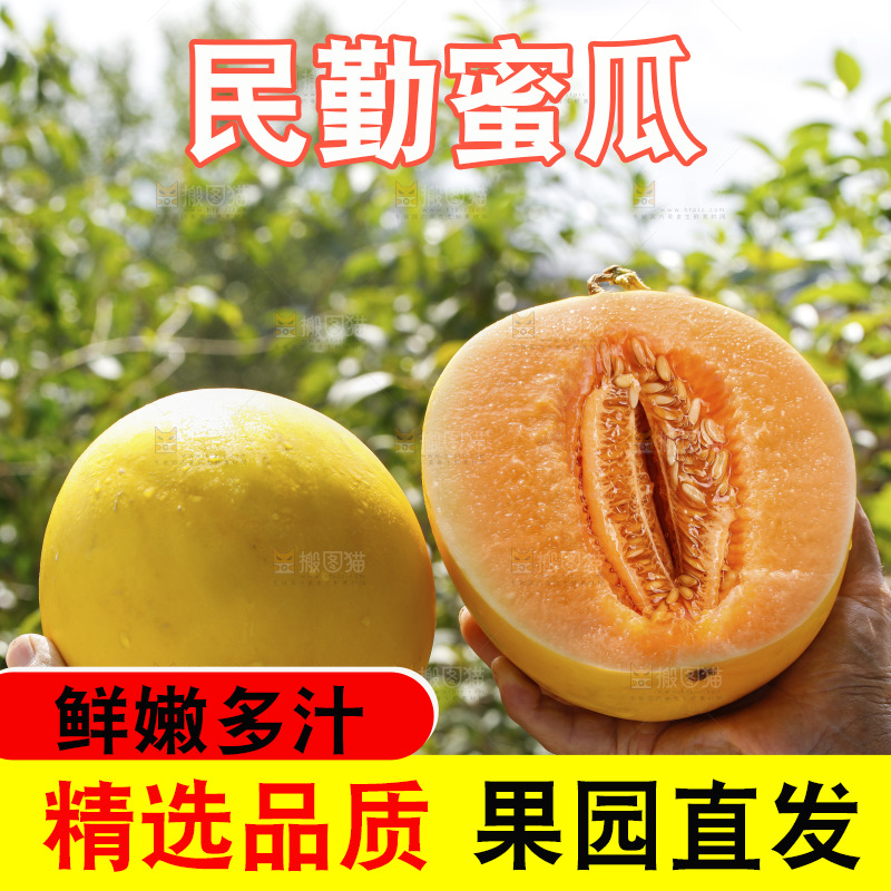 手里拿着黄河蜜瓜