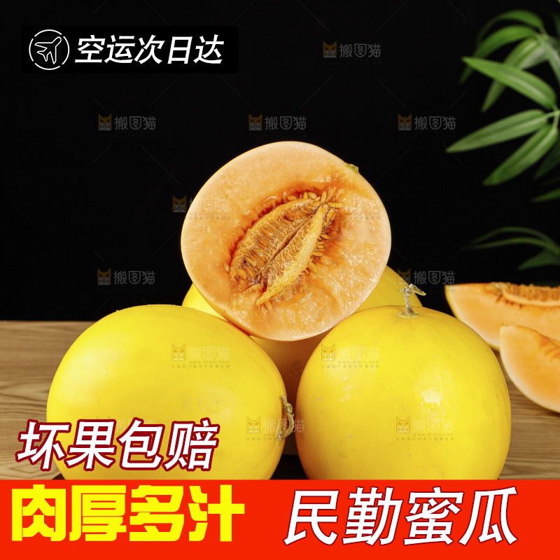 木底上的黄河蜜瓜