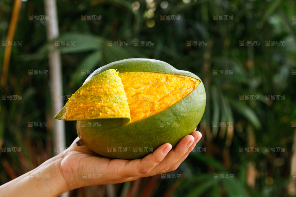 手里拿着凯特芒