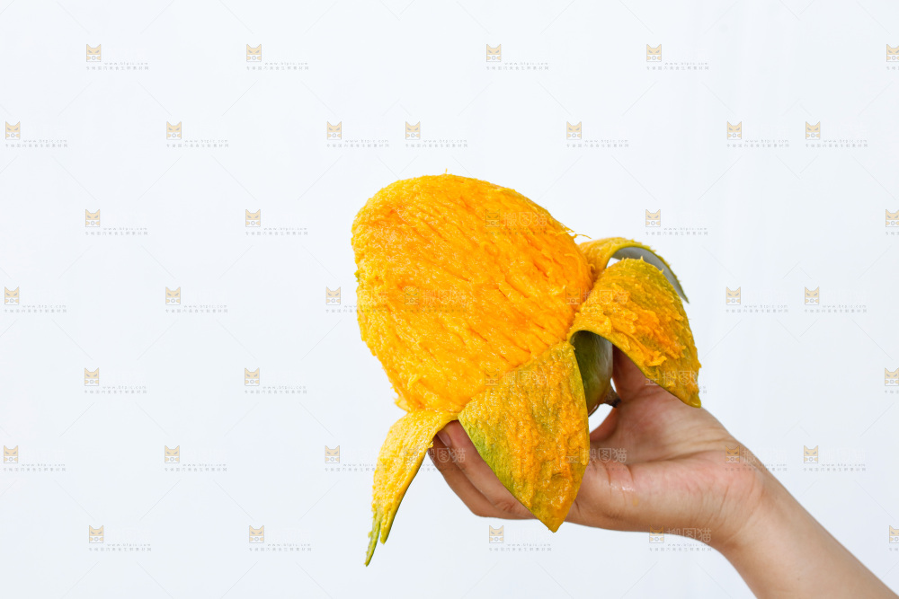手里拿着凯特芒