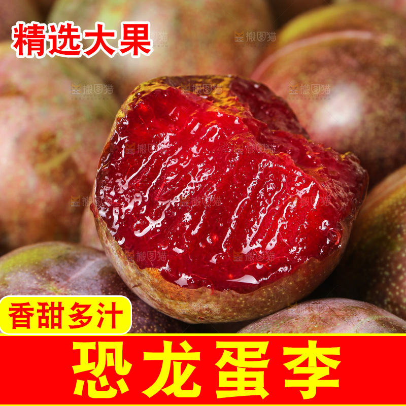 木底上的恐龙蛋