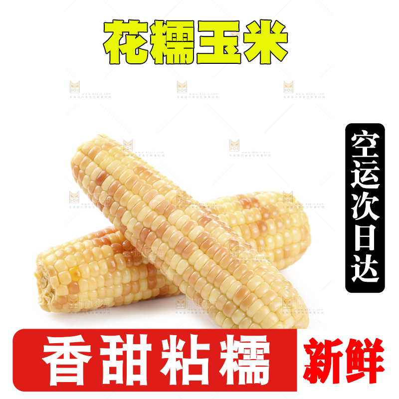 白底上的花糯玉米