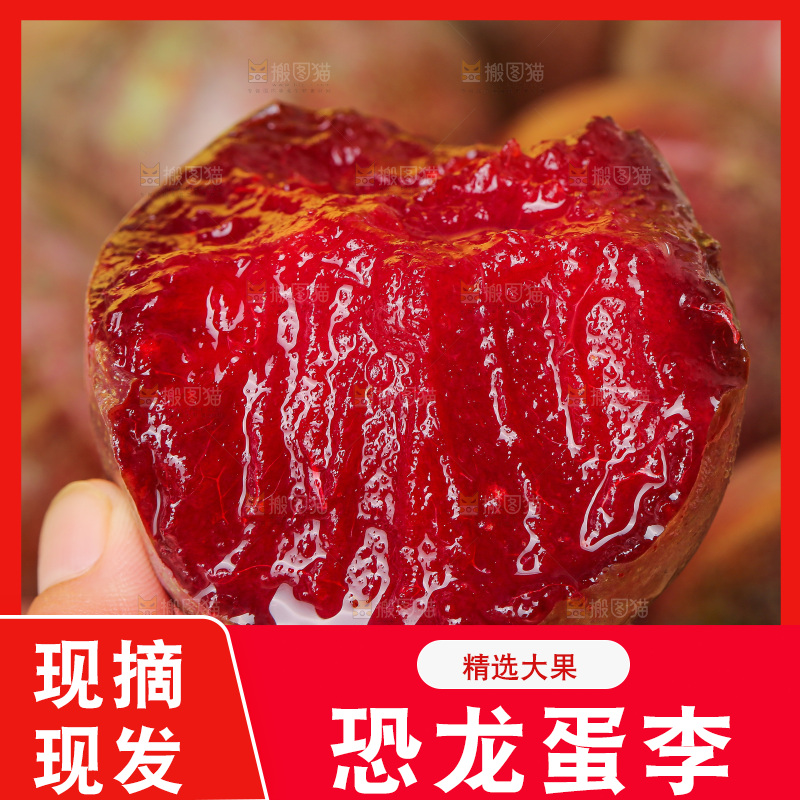 木底上的恐龙蛋