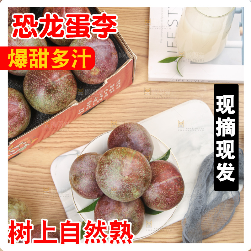 木底上的恐龙蛋