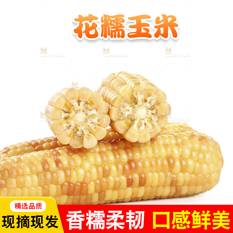 白底上的花糯玉米