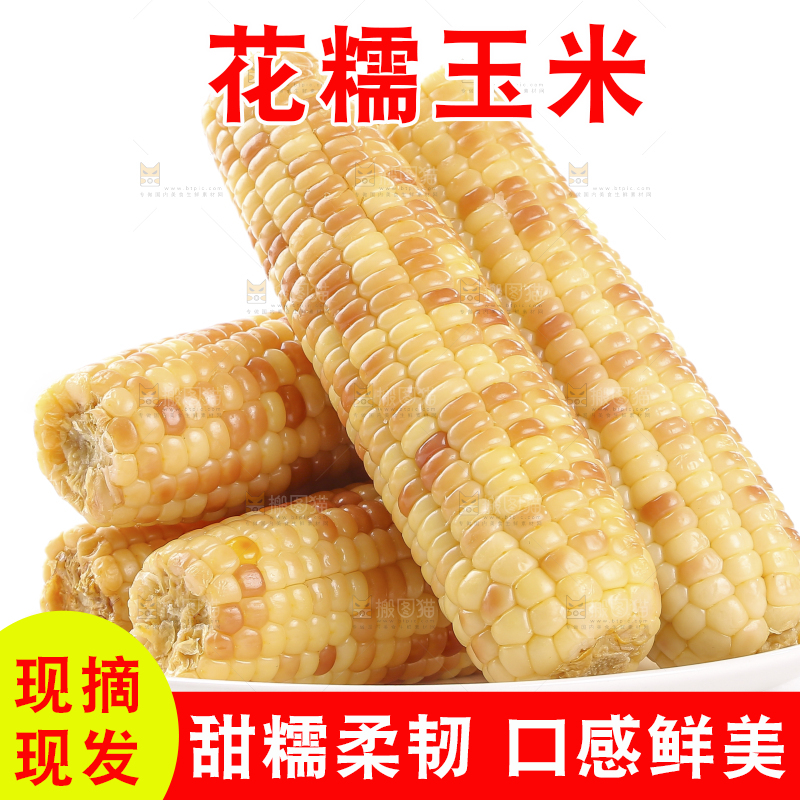 白底上的花糯玉米