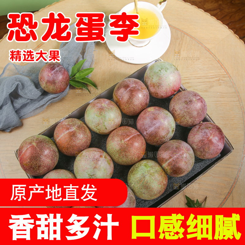 木底上的恐龙蛋