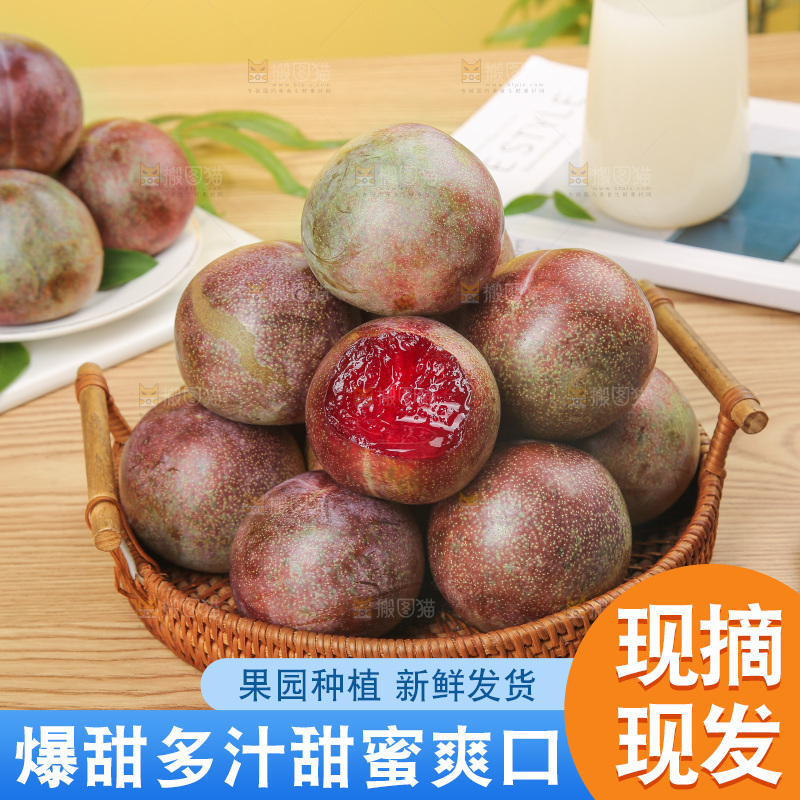 木底上的恐龙蛋