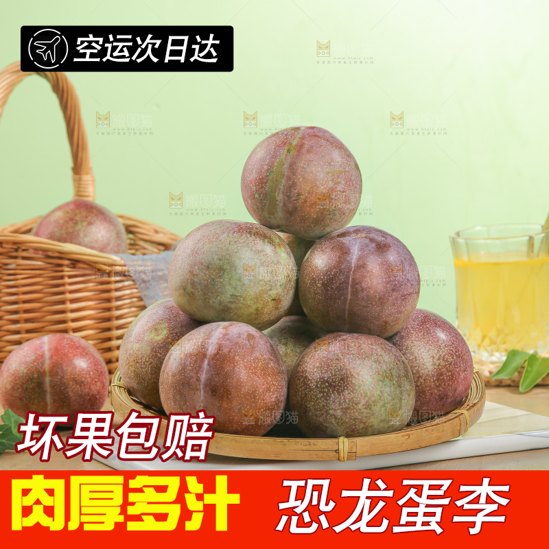 木底上的恐龙蛋