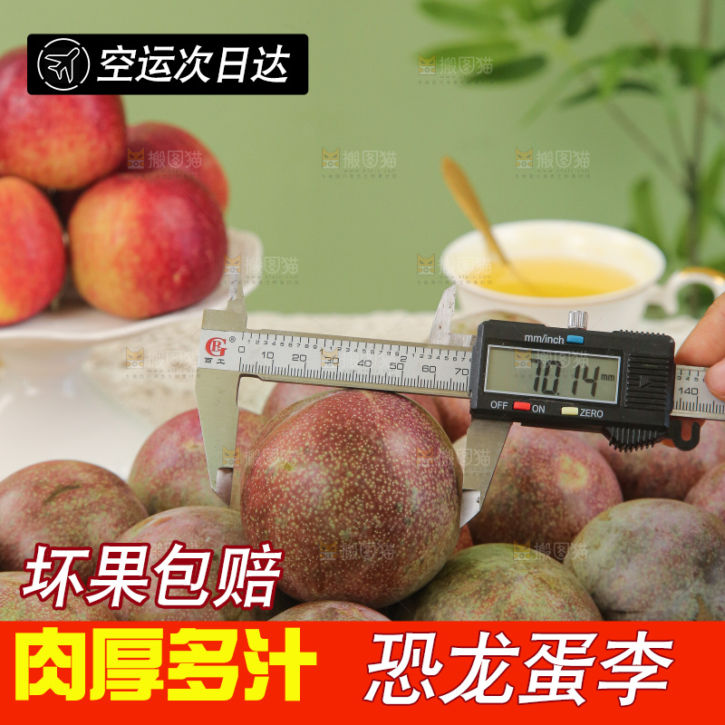 木底上的恐龙蛋