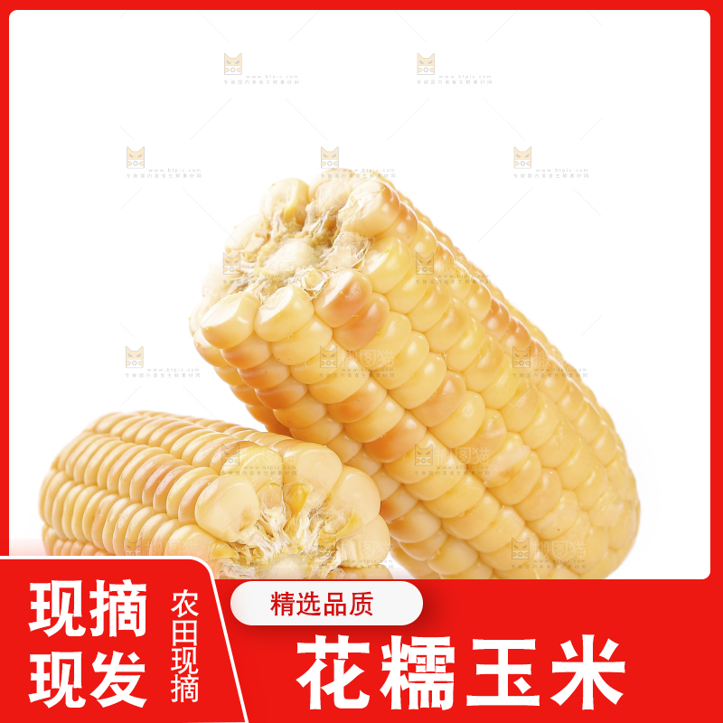 白底上的花糯玉米