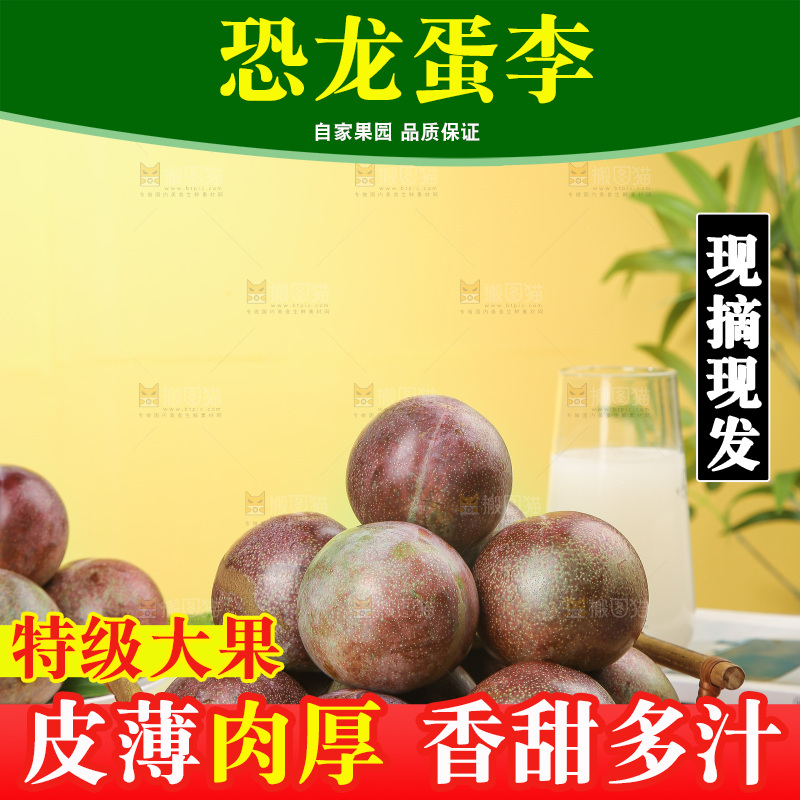 木底上的恐龙蛋