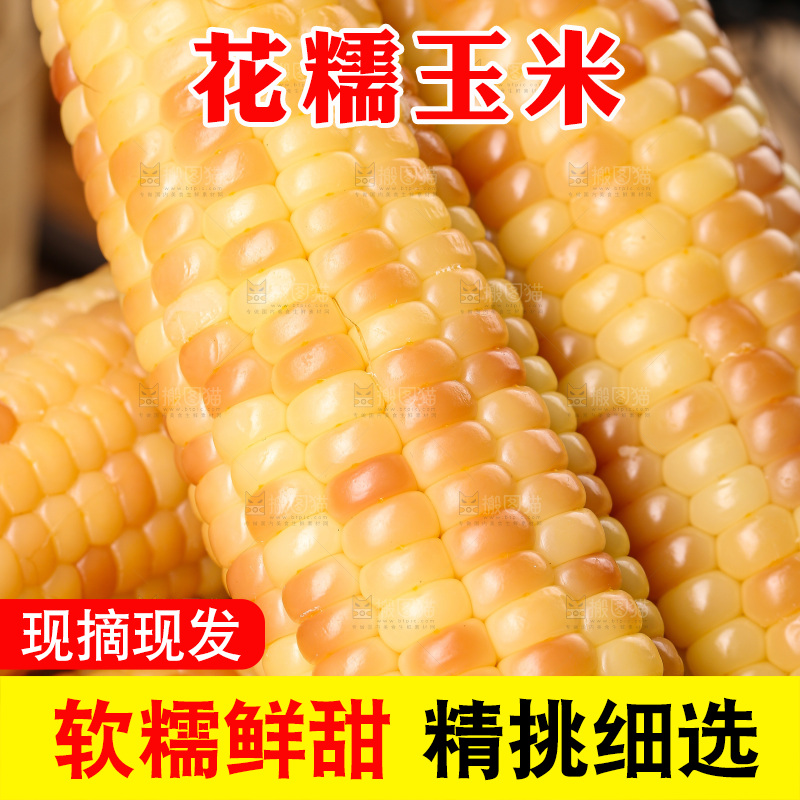 木底上的花糯玉米