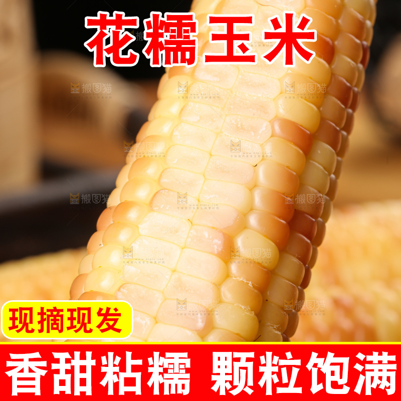 木底上的花糯玉米