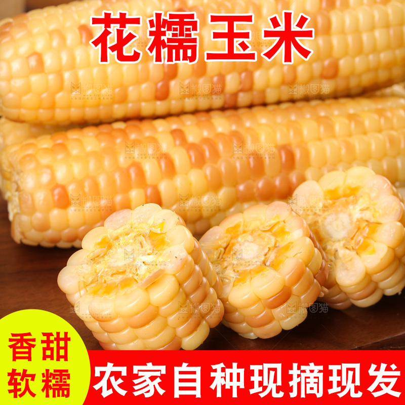 木底上的花糯玉米