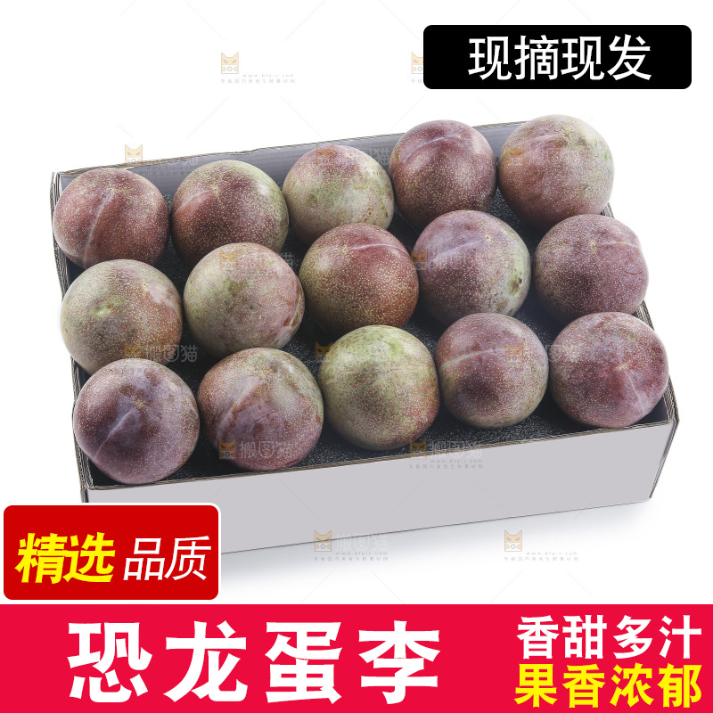 白底上的恐龙蛋李