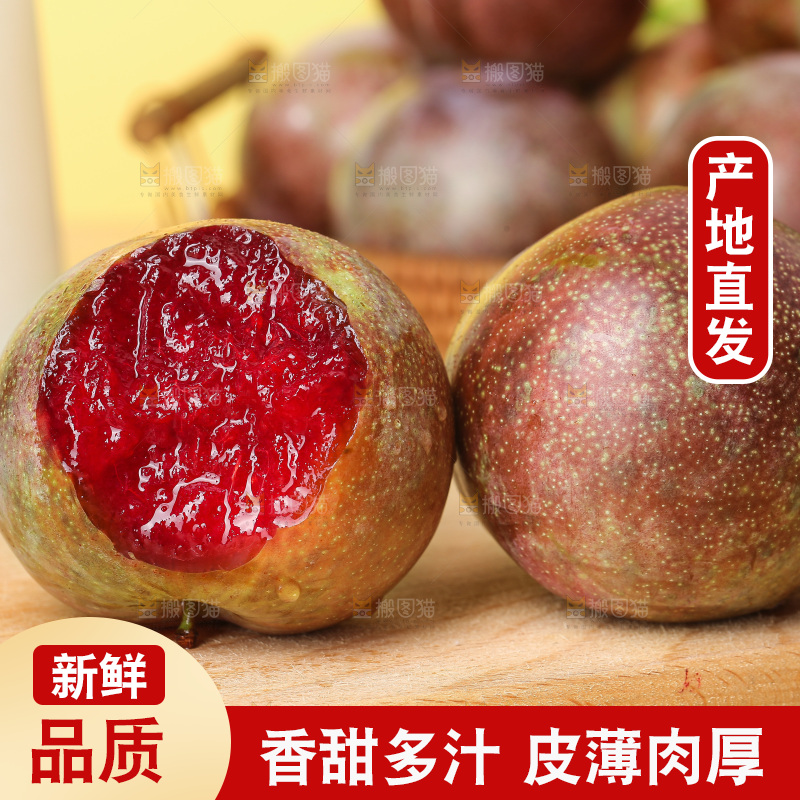 木底上的恐龙蛋