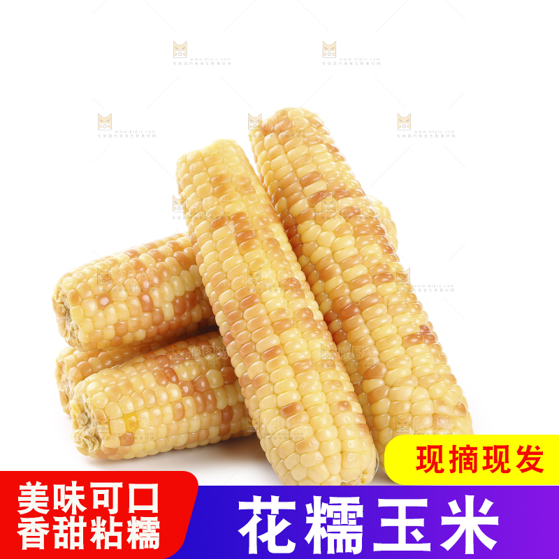 白底上的花糯玉米