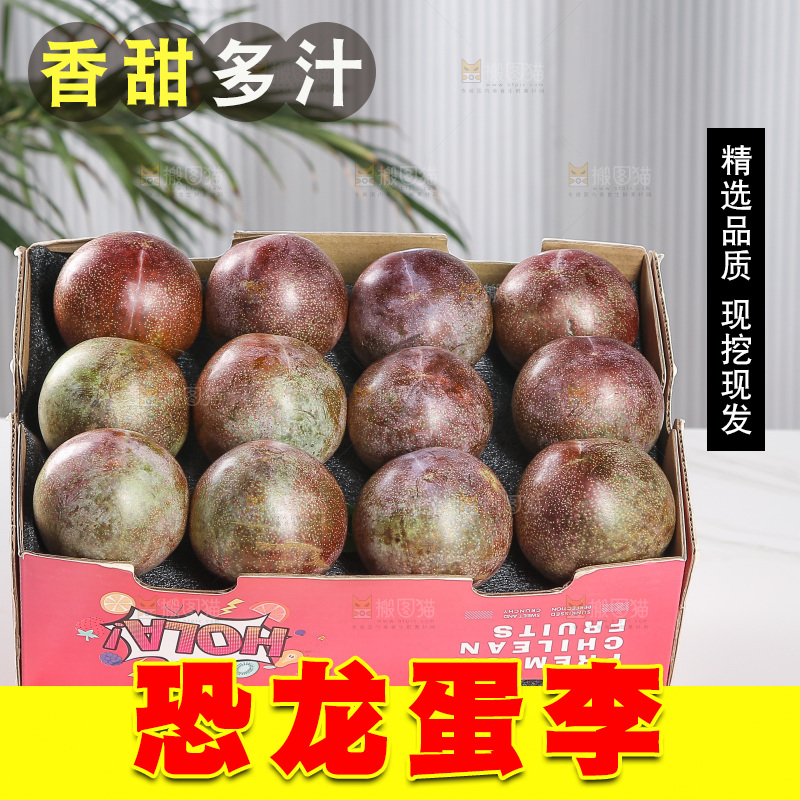 木底上的恐龙蛋