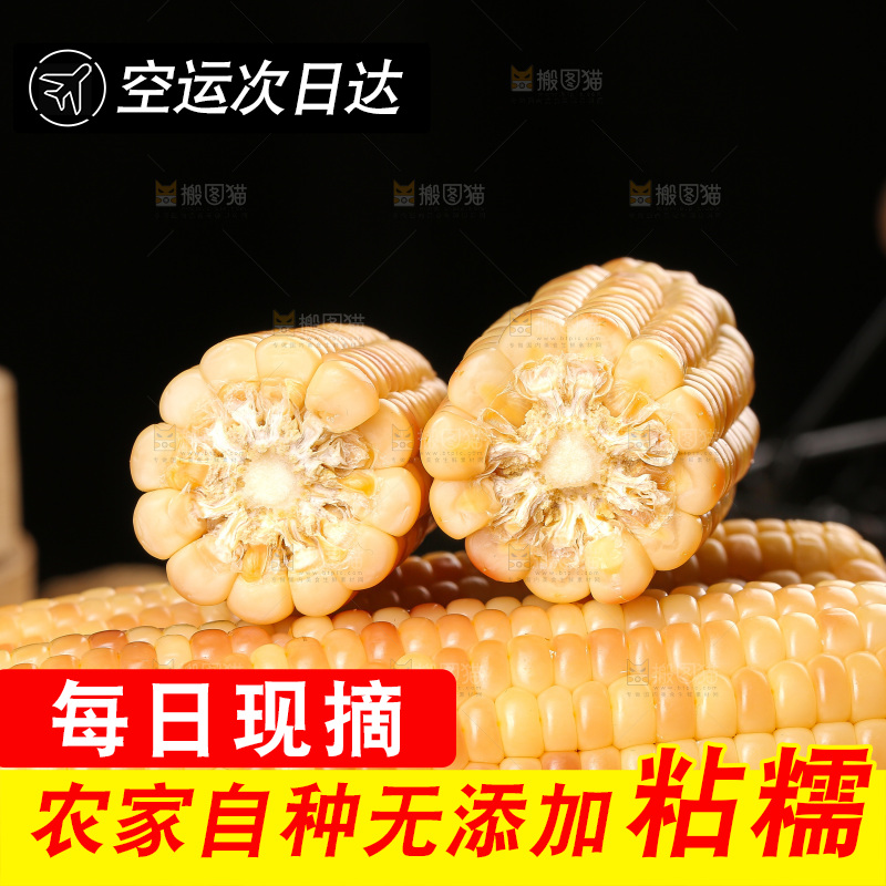 木底上的花糯玉米
