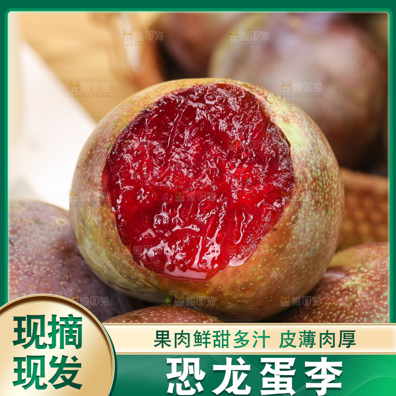 恐龙蛋李主图