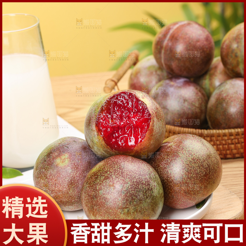 木底上的恐龙蛋
