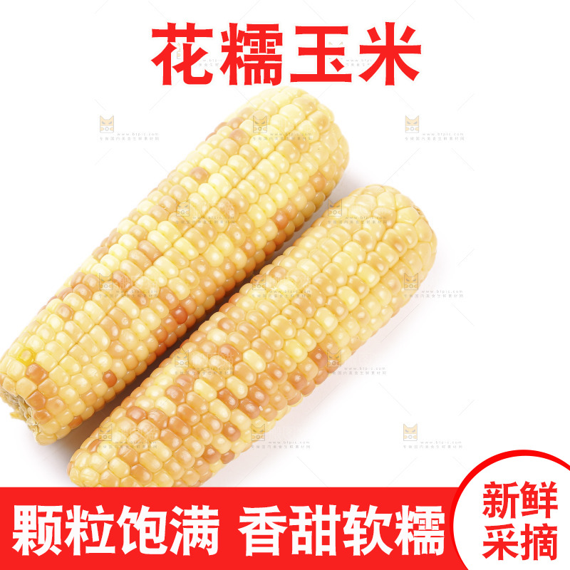 白底上的花糯玉米