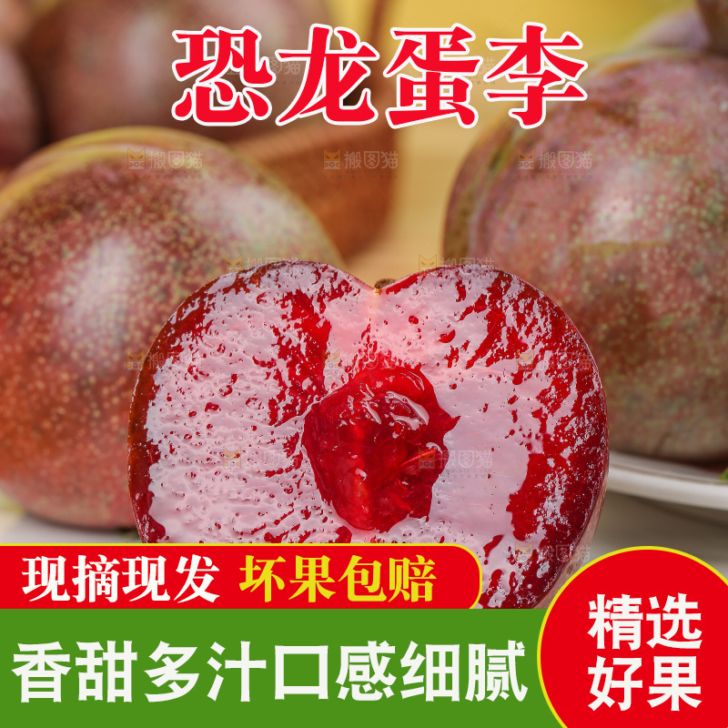 木底上的恐龙蛋