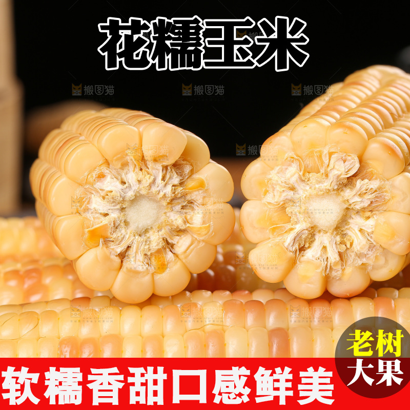 木底上的花糯玉米