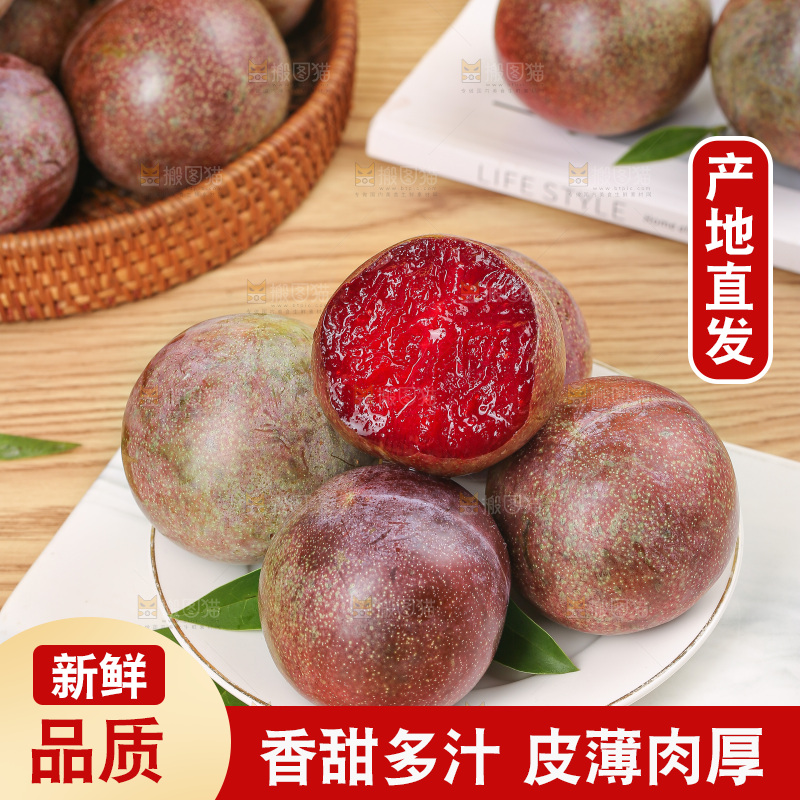 木底上的恐龙蛋