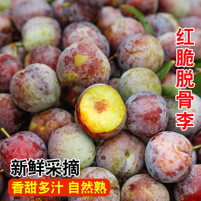 地上的现摘红脆李
