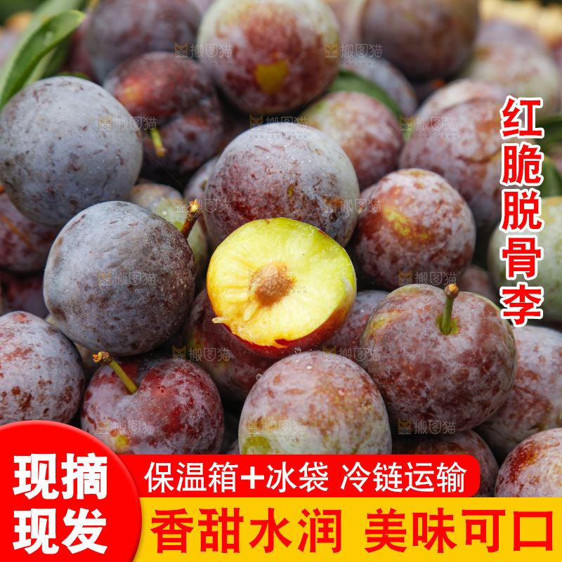 手里拿着红脆脱骨李