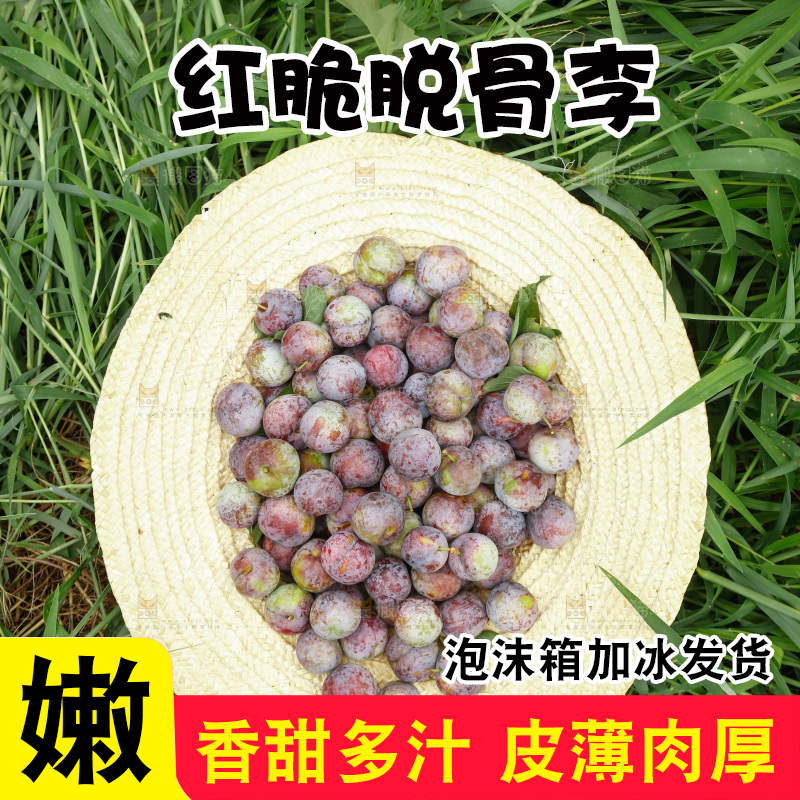 手里拿着红脆脱骨李