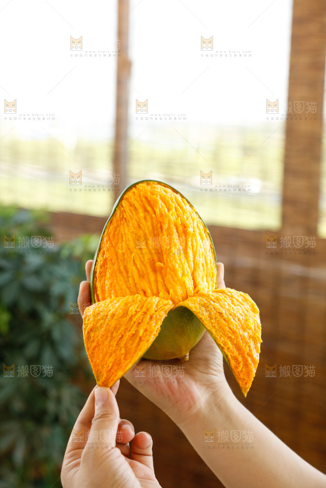 手里拿着凯特芒