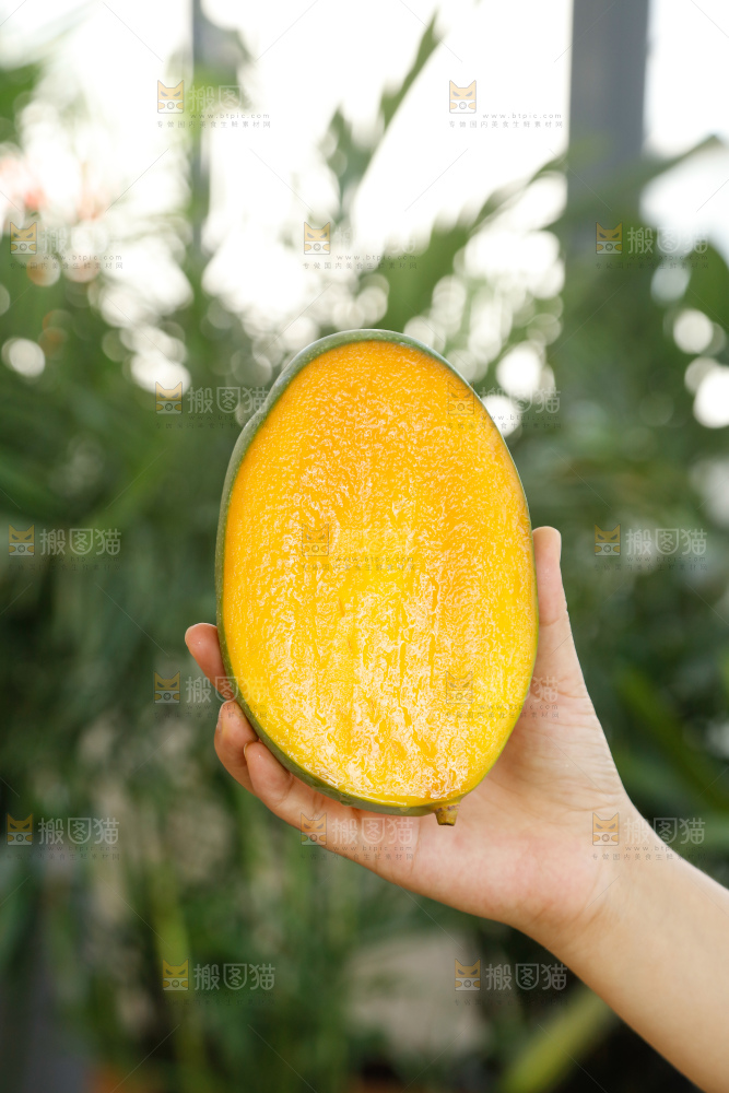 手里拿着凯特芒