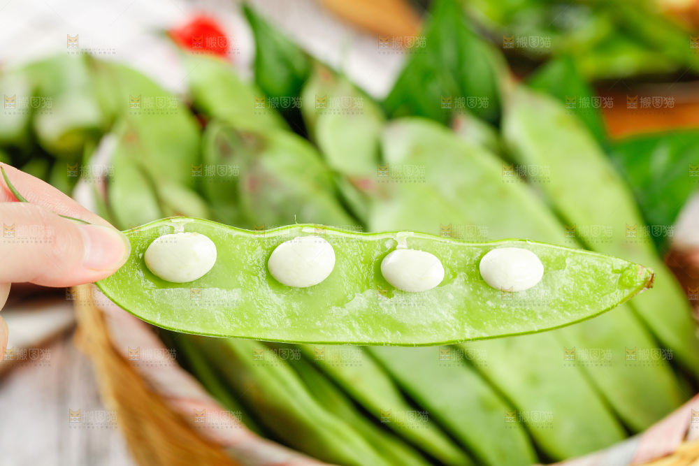 木底上的油豆角