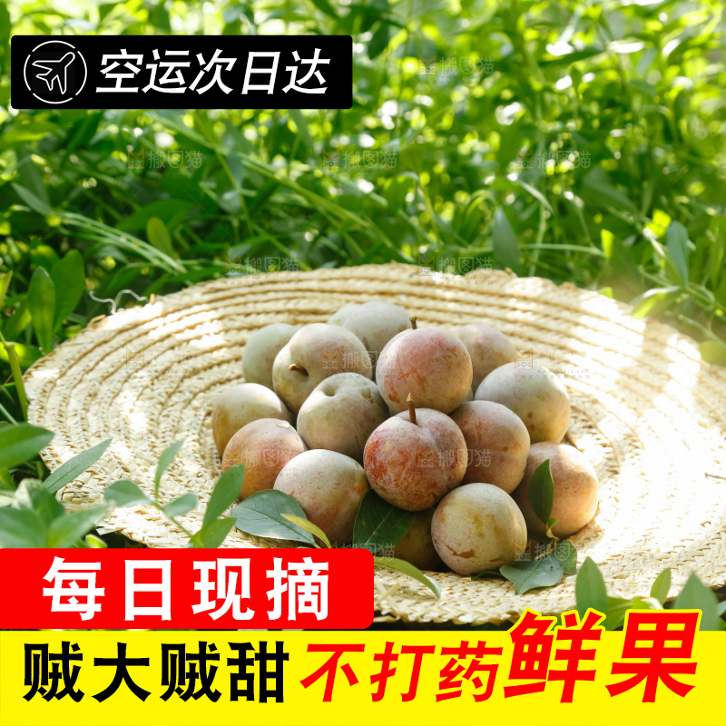 地上放着的现摘芙蓉李