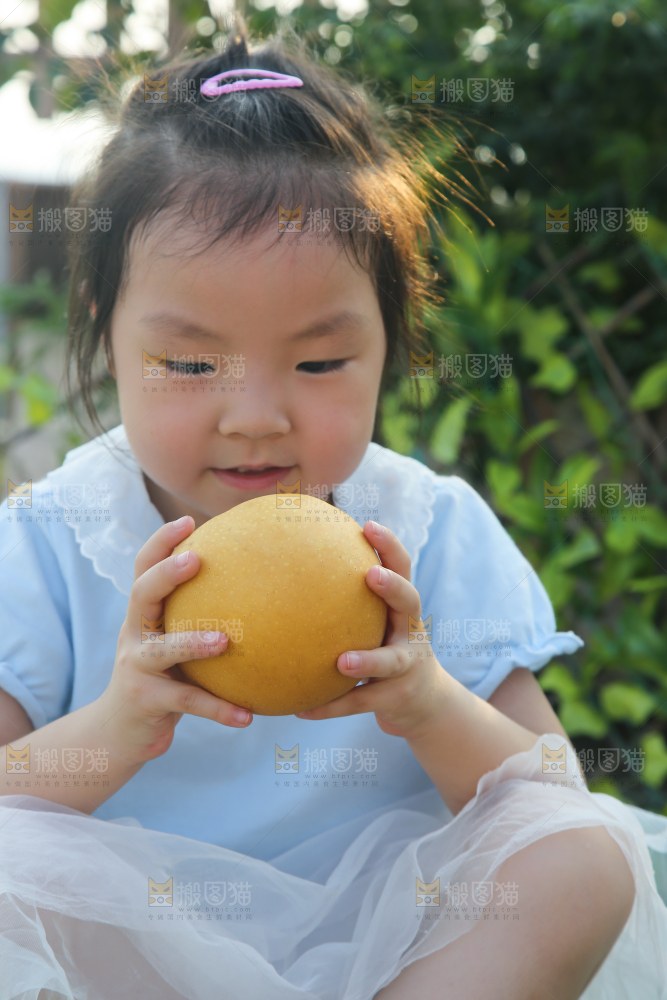 手里拿着秋月梨
