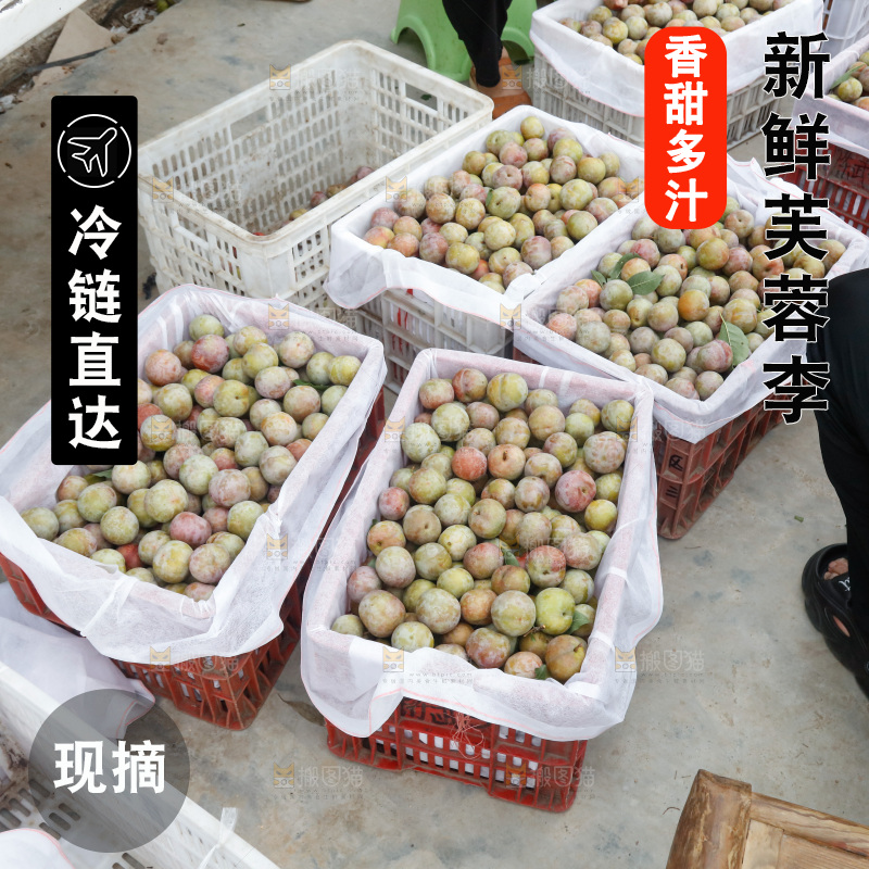 地上放着的现摘芙蓉李