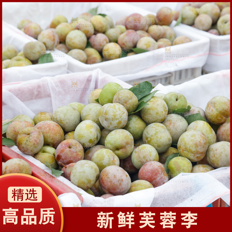 地上放着的现摘芙蓉李