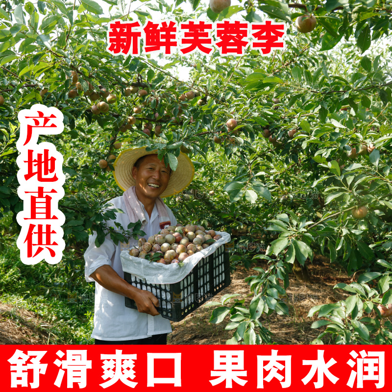 手里拿着芙蓉李