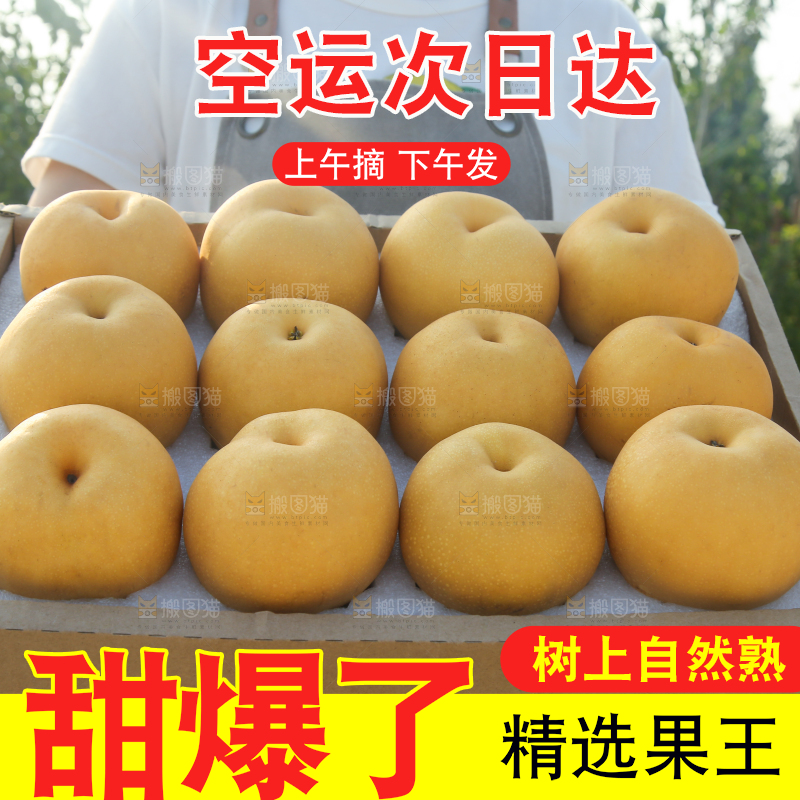 深底上的一盒秋月梨