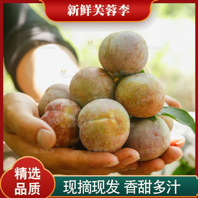 手里拿着芙蓉李