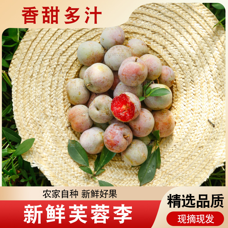 地上放着的现摘芙蓉李