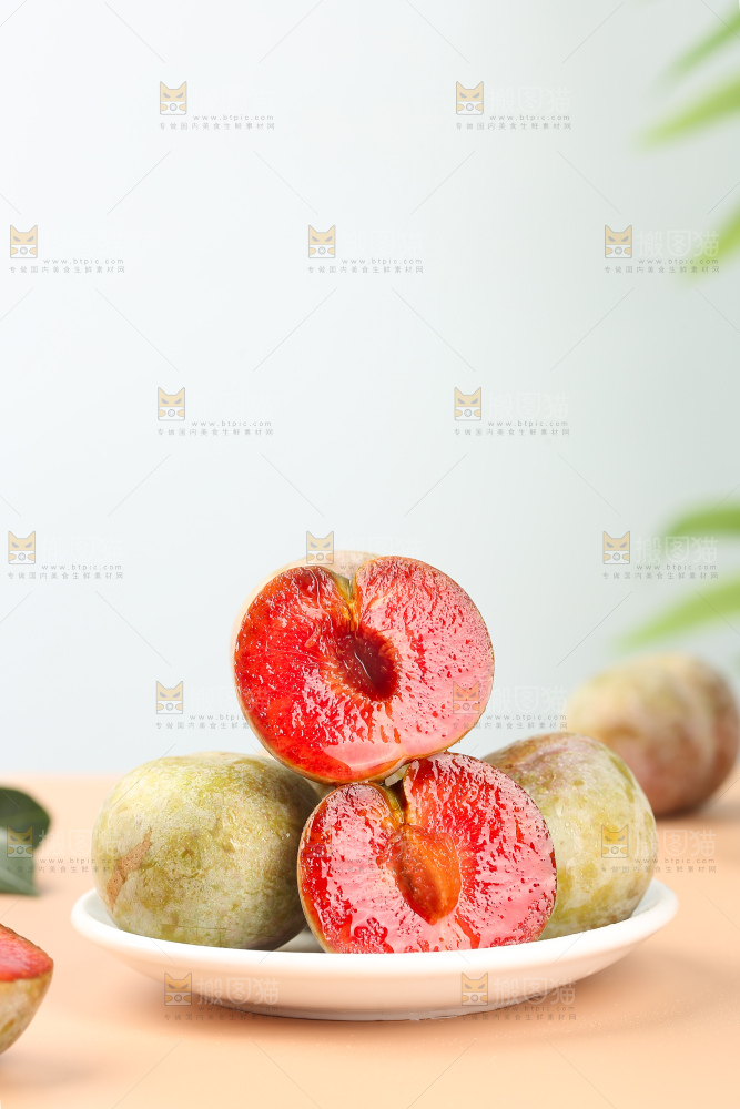 浅底上的芙蓉李